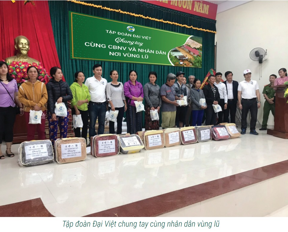 Các hoạt động của công ty